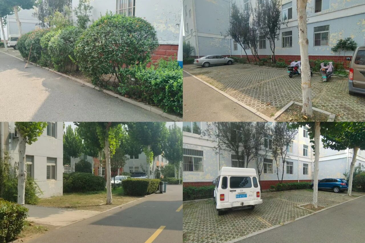 【魯南電商】共建美麗園區(qū)，我們在行動！1