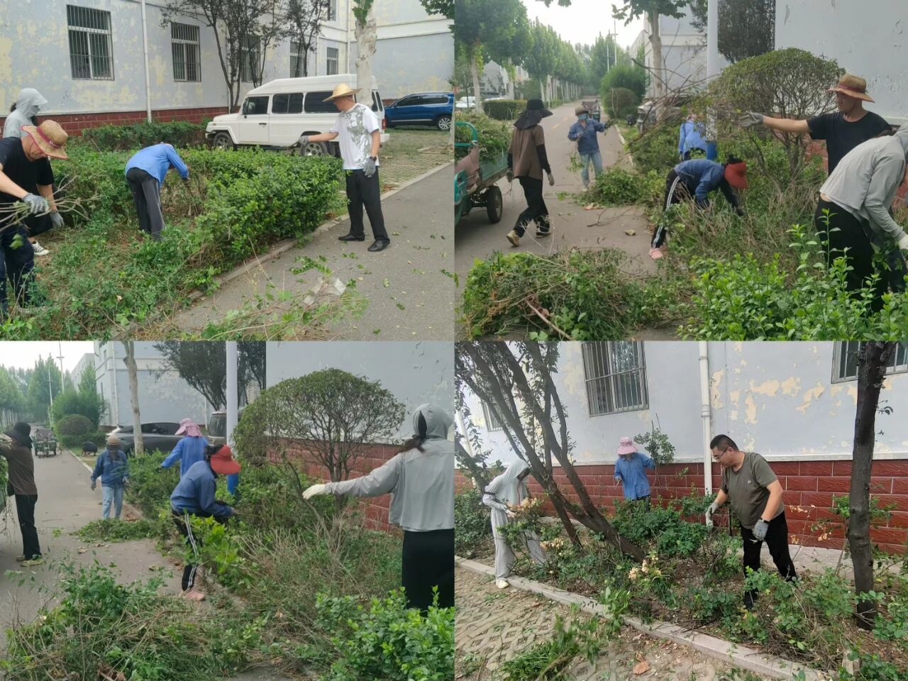 【魯南電商】共建美麗園區(qū)，我們在行動！