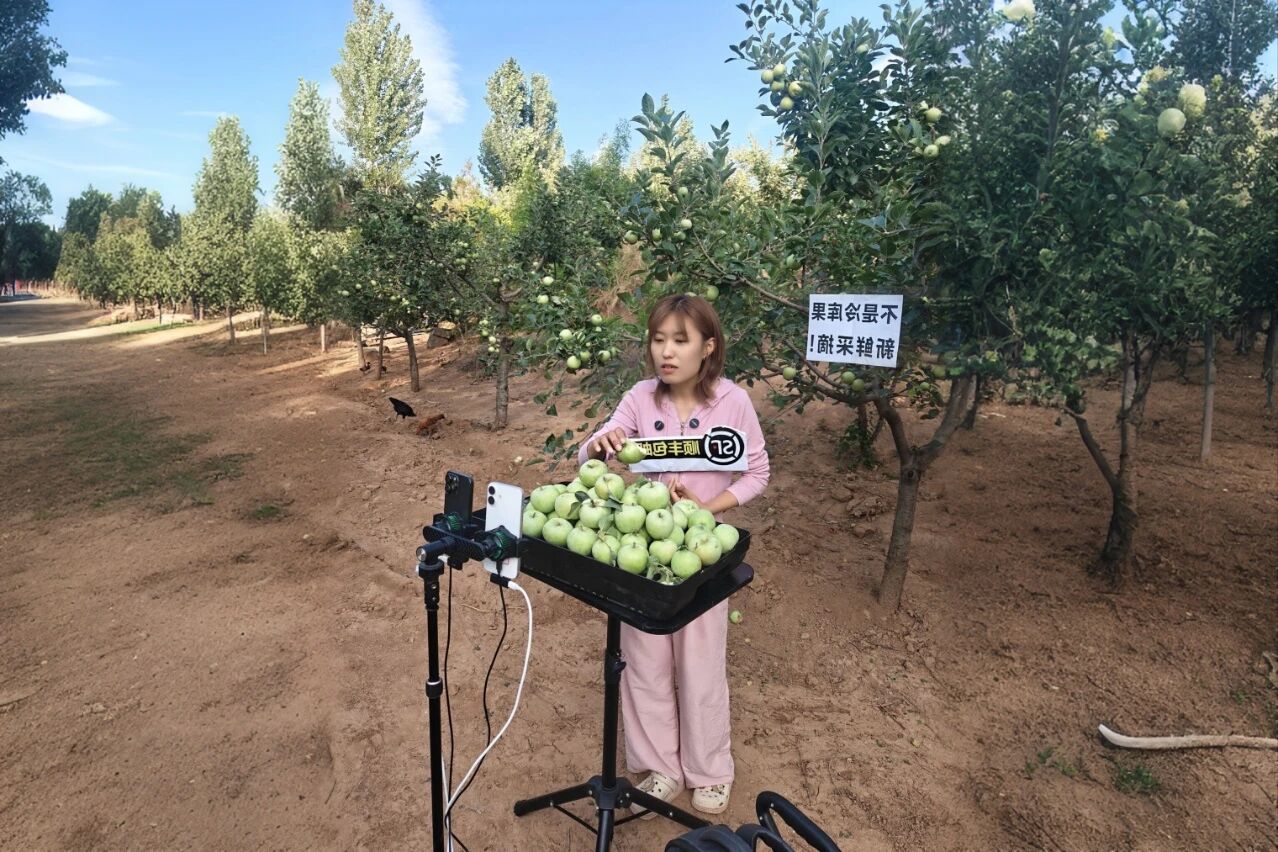 決戰(zhàn)四季度，圣家樂購雙十一全域發(fā)力促增長2